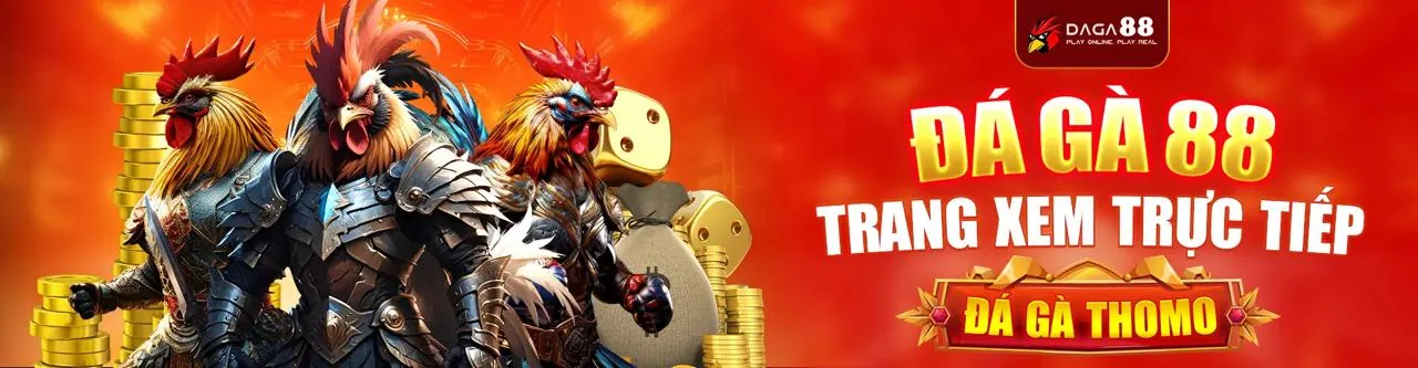 Tổng quan nền tảng b29 cafe